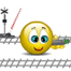 train
