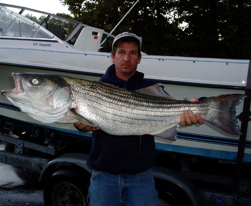 Ron with a nice one.